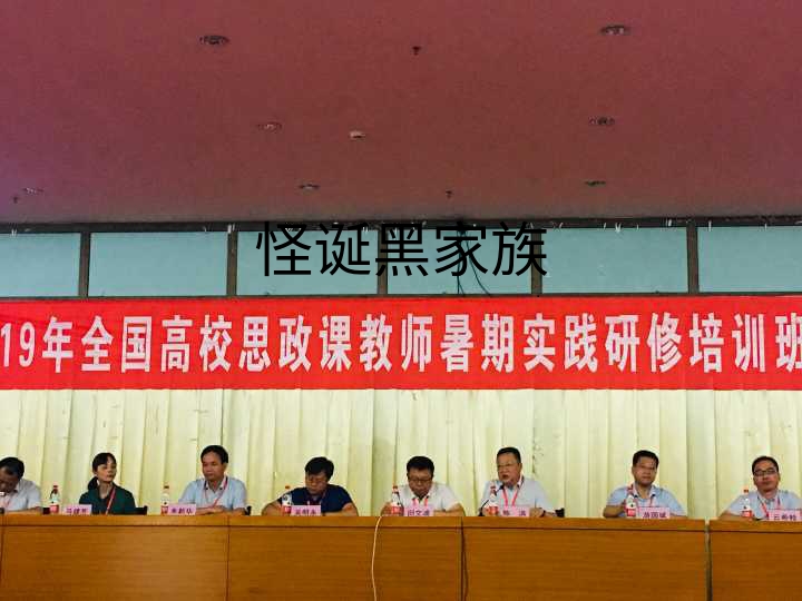陈洪院长在交流会上发言